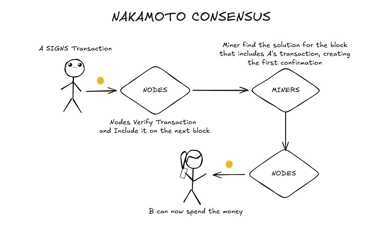 nakamoto consensus